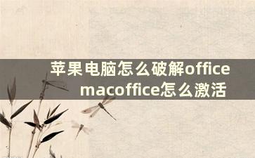 苹果电脑怎么破解office macoffice怎么激活